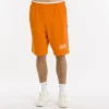 Shorts in fleece SS25